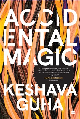 Accidental Magic (Paperback)